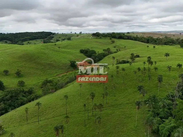 Imagem 10: Fazenda 191 Alqueires ( 924 Hectares) Ipameri -Go
