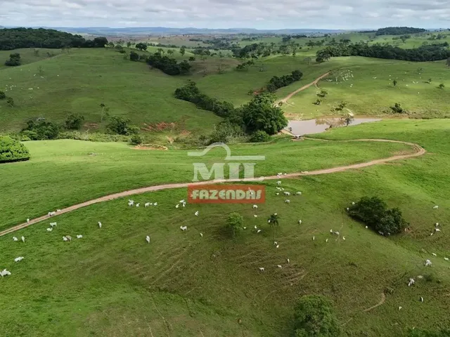 Imagem 5: Fazenda 191 Alqueires ( 924 Hectares) Ipameri -Go