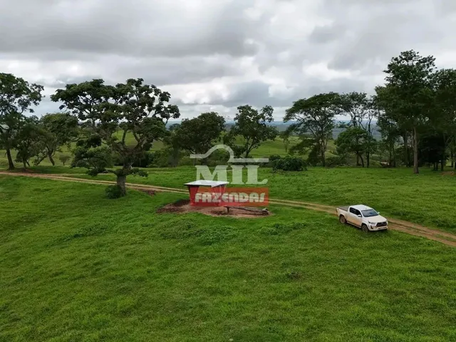 Imagem 2: Fazenda 191 Alqueires ( 924 Hectares) Ipameri -Go