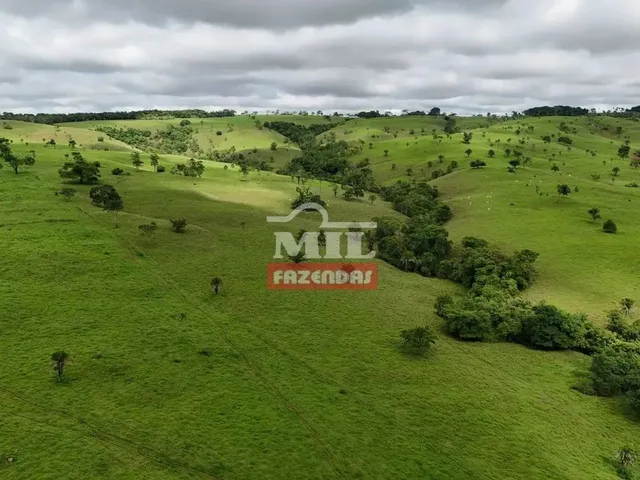 Imagem 14: Fazenda 191 Alqueires ( 924 Hectares) Ipameri -Go