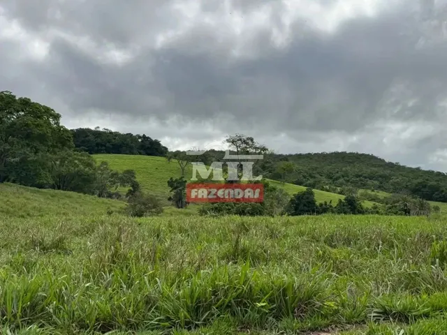 Imagem 11: Fazenda 191 Alqueires ( 924 Hectares) Ipameri -Go