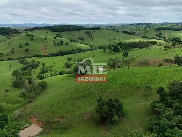 Imagem 6: Fazenda 191 Alqueires ( 924 Hectares) Ipameri -Go