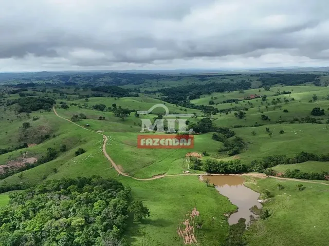 Imagem 8: Fazenda 191 Alqueires ( 924 Hectares) Ipameri -Go