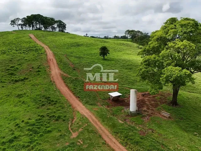 Imagem 7: Fazenda 191 Alqueires ( 924 Hectares) Ipameri -Go