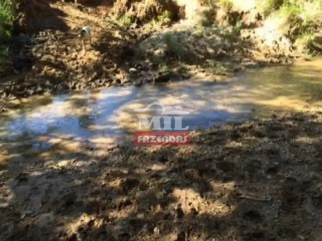 Imagem 15: Fazenda com 45 Alqueires (218 Hectares) em Ipameri - Goiás