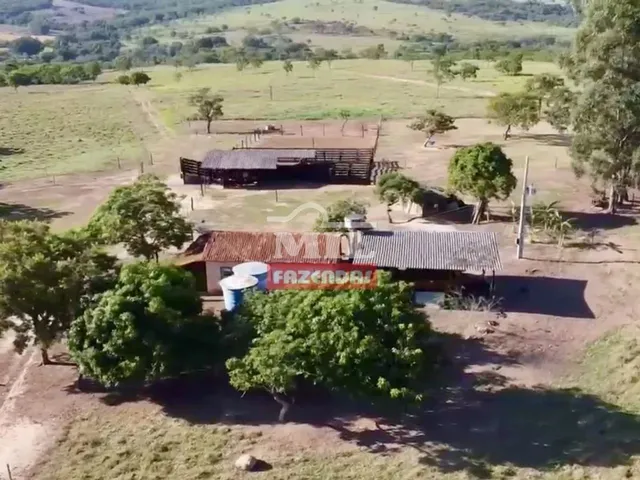Imagem 3: Fazenda com 45 Alqueires (218 Hectares) em Ipameri - Goiás