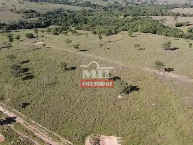 Imagem 16: Fazenda com 45 Alqueires (218 Hectares) em Ipameri - Goiás