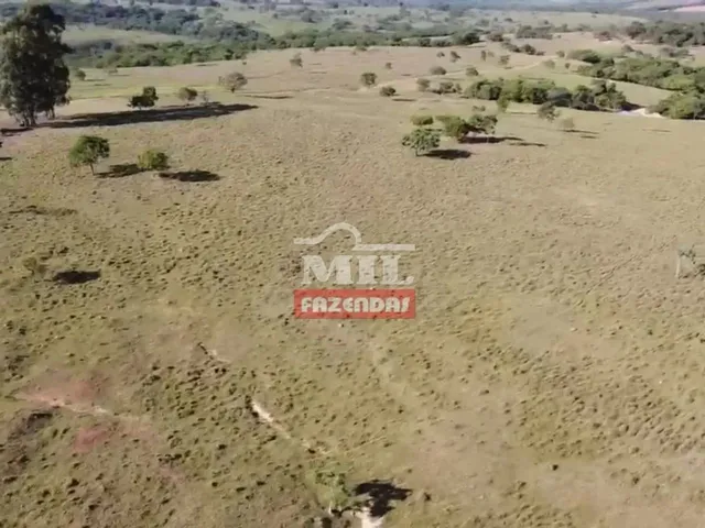 Imagem 12: Fazenda com 45 Alqueires (218 Hectares) em Ipameri - Goiás