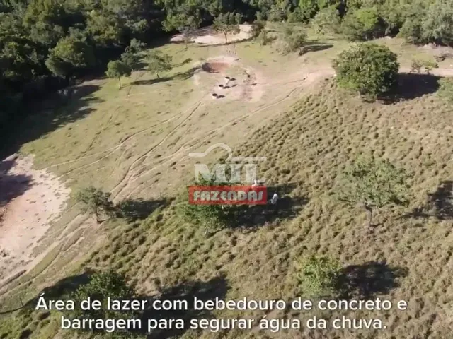 Imagem 2: Fazenda com 45 Alqueires (218 Hectares) em Ipameri - Goiás