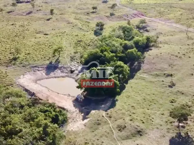 Imagem 13: Fazenda com 45 Alqueires (218 Hectares) em Ipameri - Goiás
