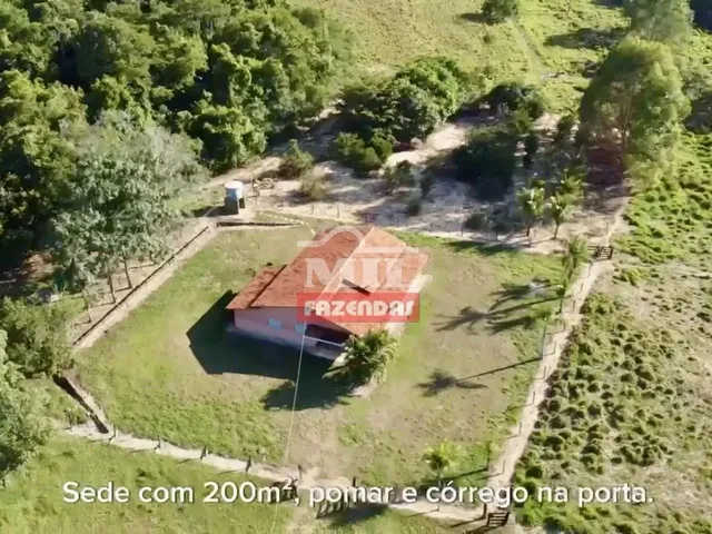 Imagem 8: Fazenda com 45 Alqueires (218 Hectares) em Ipameri - Goiás