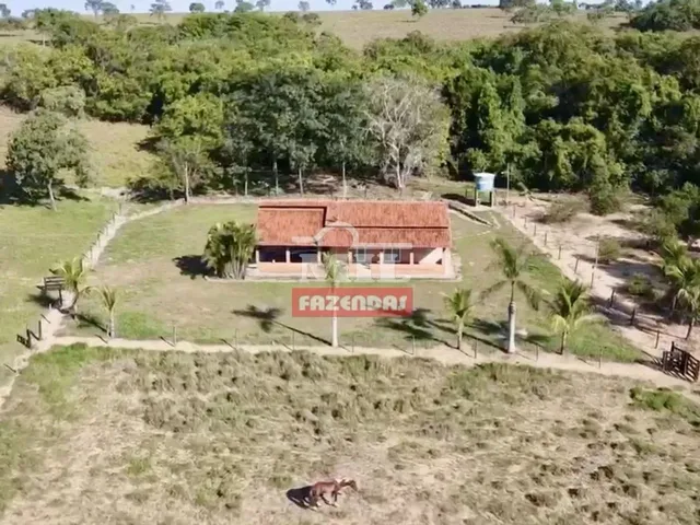 Imagem 4: Fazenda com 45 Alqueires (218 Hectares) em Ipameri - Goiás