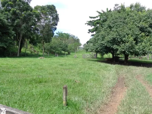 Imagem: Fazenda a Venda À Apenas 18 Km de Jandáia