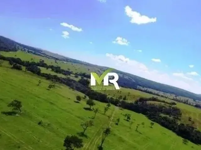 Imagem 11: Fazenda Ipameri Fazenda / sítio com venda por R$80.000.000