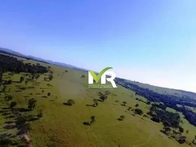 Imagem 10: Fazenda Ipameri Fazenda / sítio com venda por R$80.000.000