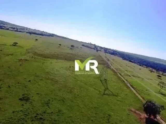 Imagem 12: Fazenda Ipameri Fazenda / sítio com venda por R$80.000.000