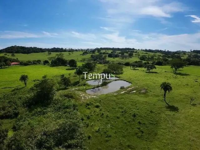 Imagem: Fazenda 3 Alqueires em Anicuns - Excelente