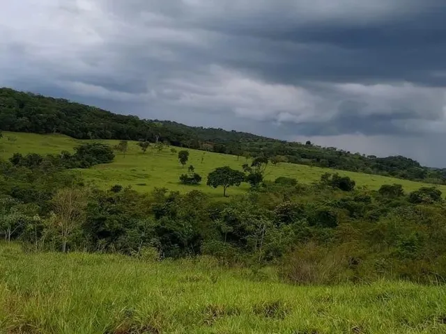 Imagem 8: Fazenda a Venda em - Nova Aurora - Goiás