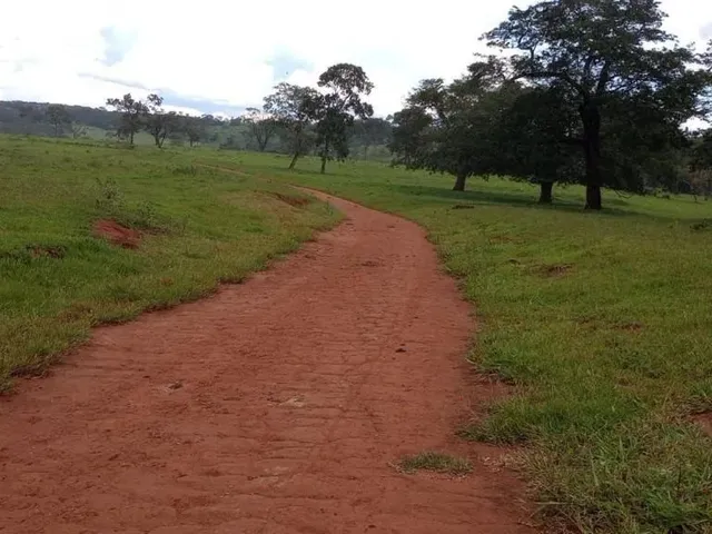 Imagem 12: Fazenda a Venda em - Nova Aurora - Goiás