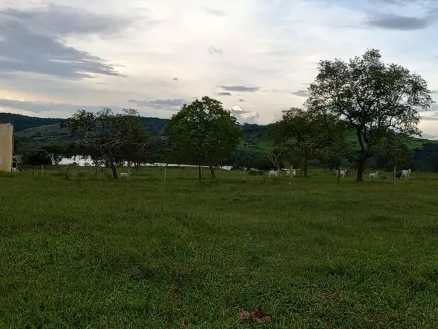 Imagem 16: Fazenda a Venda em - Nova Aurora - Goiás