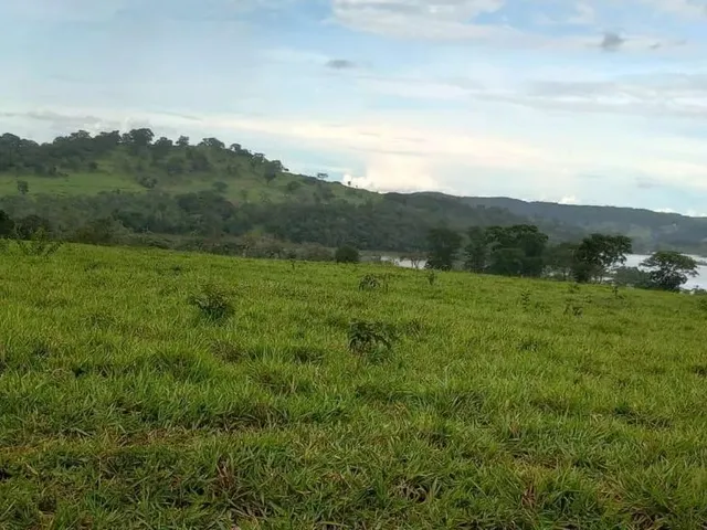 Imagem 14: Fazenda a Venda em - Nova Aurora - Goiás