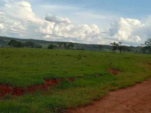 Imagem 4: Fazenda a Venda em - Nova Aurora - Goiás