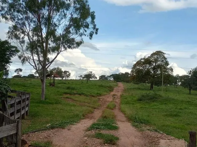 Imagem 3: Fazenda a Venda em - Nova Aurora - Goiás