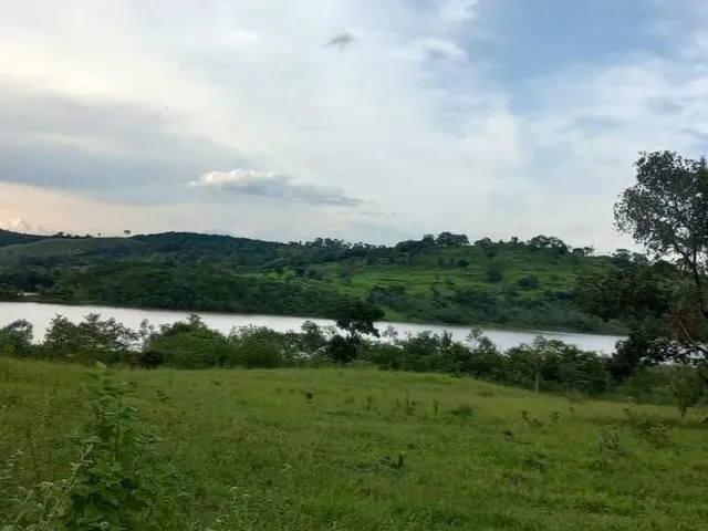 Imagem 7: Fazenda a Venda em - Nova Aurora - Goiás