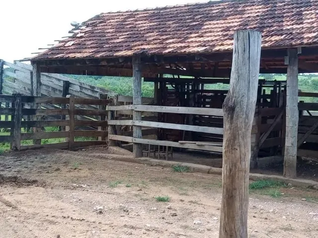 Imagem 13: Fazenda a Venda em - Nova Aurora - Goiás