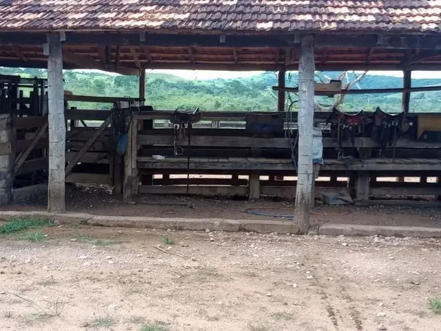 Imagem 10: Fazenda a Venda em - Nova Aurora - Goiás