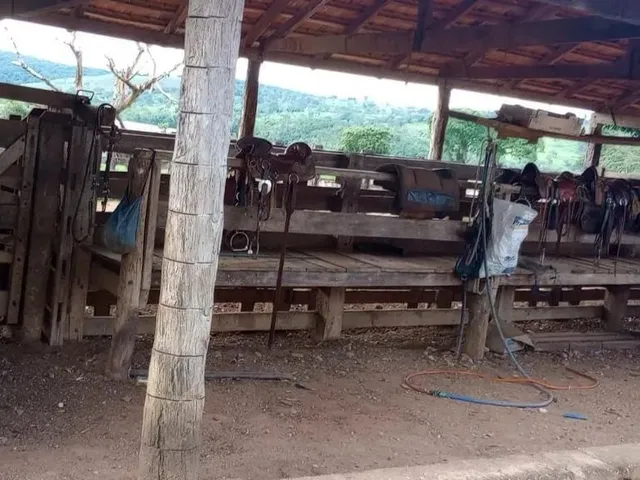 Imagem 11: Fazenda a Venda em - Nova Aurora - Goiás