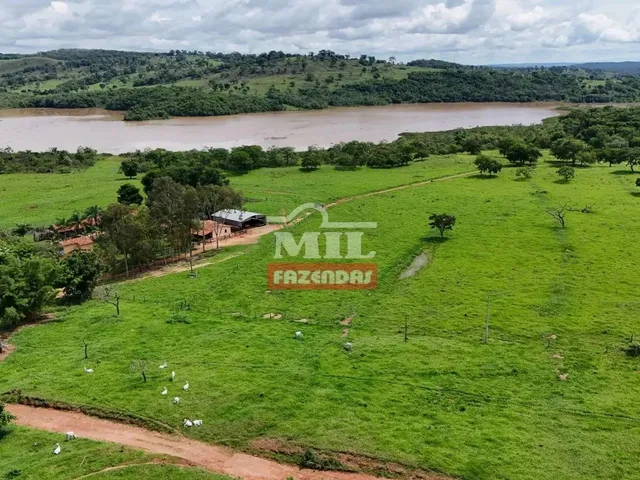 Imagem: Fazenda 100 Alqueires 484 Hectares Margens