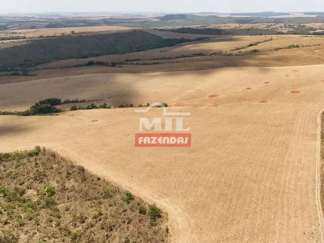 Imagem 10: Fazenda 169,42 Alqueires (820 Hectares) Ipameri - Go