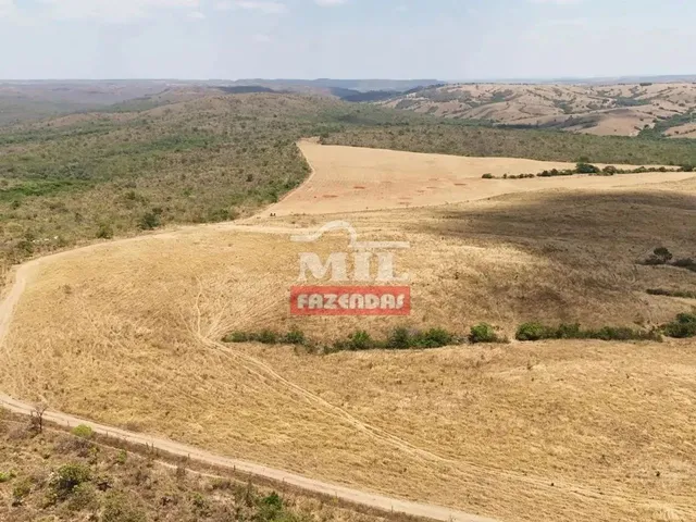 Imagem 7: Fazenda 169,42 Alqueires (820 Hectares) Ipameri - Go