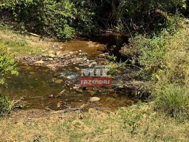 Imagem 15: Fazenda 169,42 Alqueires (820 Hectares) Ipameri - Go