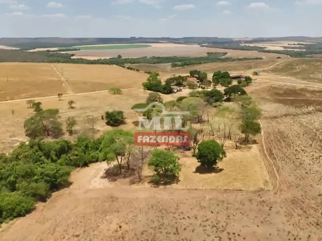 Imagem 3: Fazenda 169,42 Alqueires (820 Hectares) Ipameri - Go