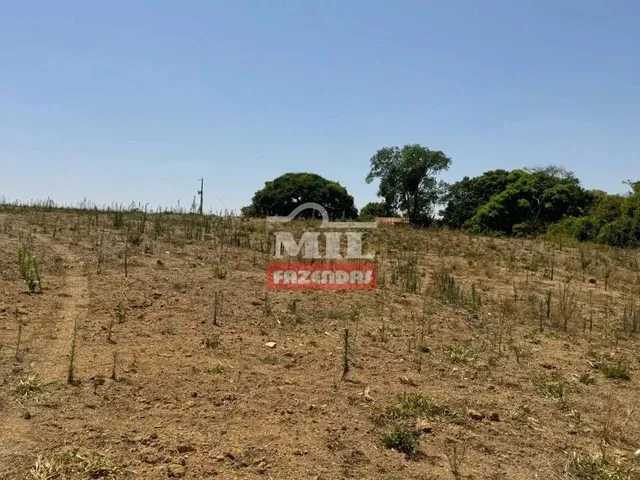 Imagem 4: Fazenda 169,42 Alqueires (820 Hectares) Ipameri - Go
