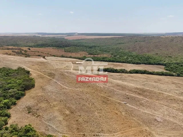 Imagem 12: Fazenda 169,42 Alqueires (820 Hectares) Ipameri - Go