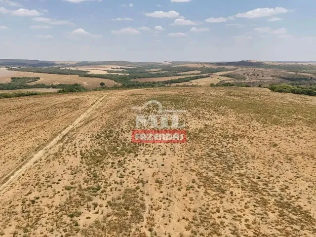 Imagem 11: Fazenda 169,42 Alqueires (820 Hectares) Ipameri - Go