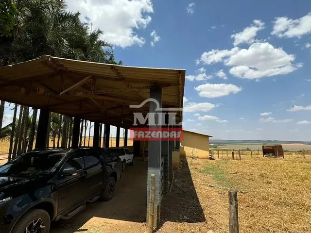Imagem 2: Fazenda 169,42 Alqueires (820 Hectares) Ipameri - Go