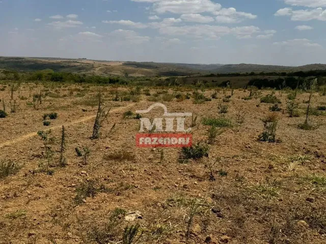 Imagem 5: Fazenda 169,42 Alqueires (820 Hectares) Ipameri - Go