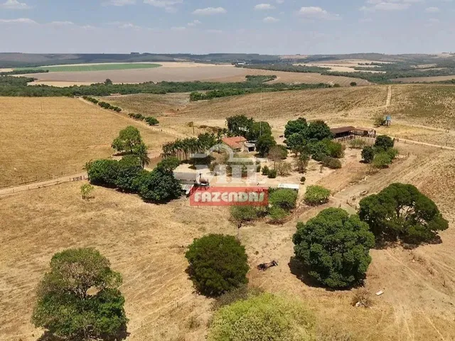 Imagem 16: Fazenda 169,42 Alqueires (820 Hectares) Ipameri - Go