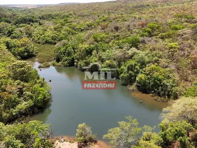 Imagem 8: Fazenda 169,42 Alqueires (820 Hectares) Ipameri - Go