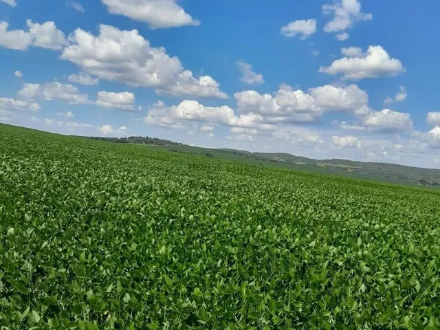 Imagem: Fazenda de 350 Alqueires, (840 Hectares)