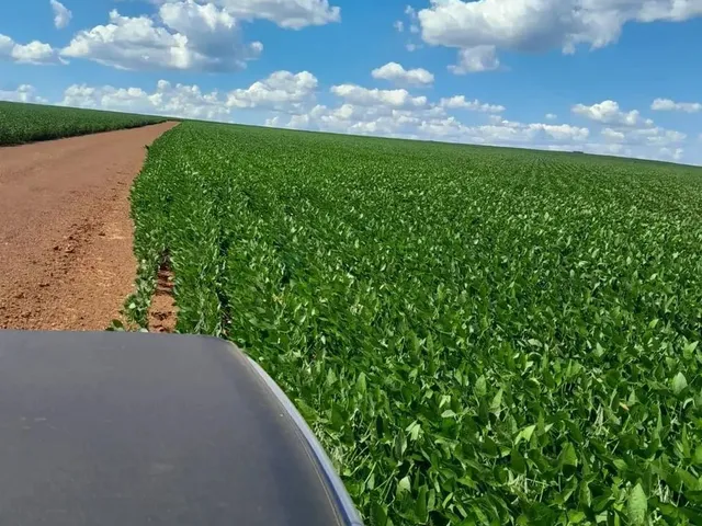 Imagem 2: Fazenda de 350 Alqueires, (840 Hectares), na Regiao do Município de Ipameri Goia