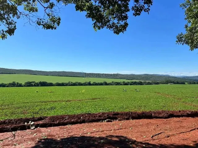 Imagem 12: Fazenda de 350 Alqueires, (840 Hectares), na Regiao do Município de Ipameri Goia