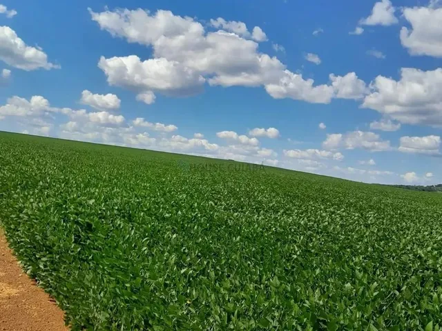 Imagem 3: Fazenda de 350 Alqueires, (840 Hectares), na Regiao do Município de Ipameri Goia