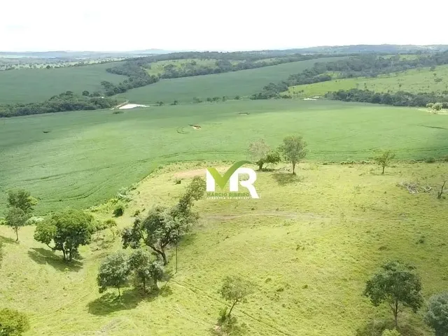 Imagem 10: Fazenda 52 Alqueires Ipameri - Go