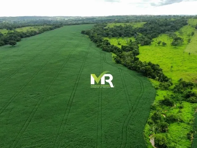 Imagem 5: Fazenda 52 Alqueires Ipameri - Go