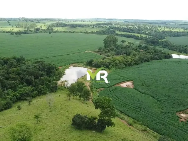 Imagem 11: Fazenda 52 Alqueires Ipameri - Go